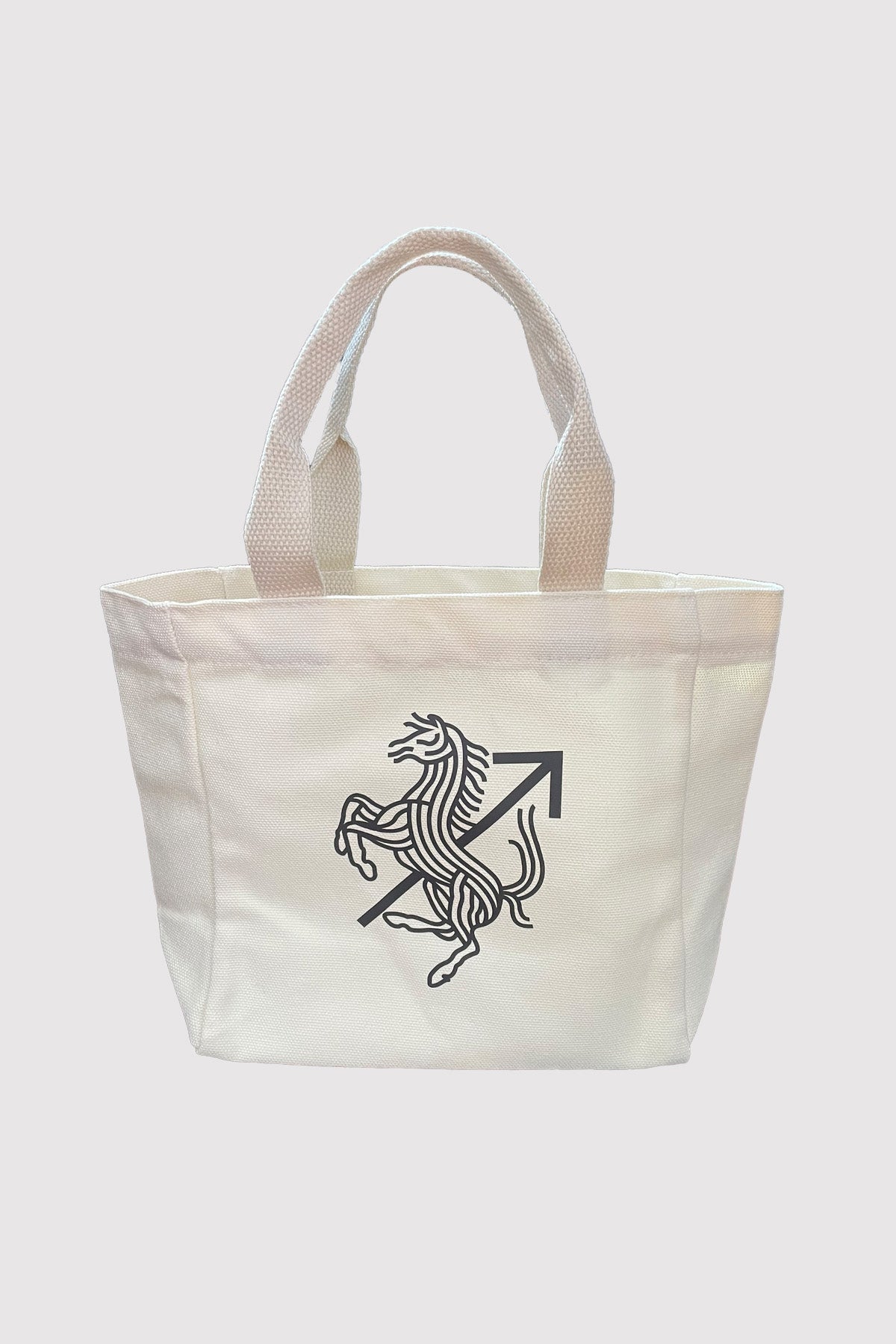 Mini Tote Bag