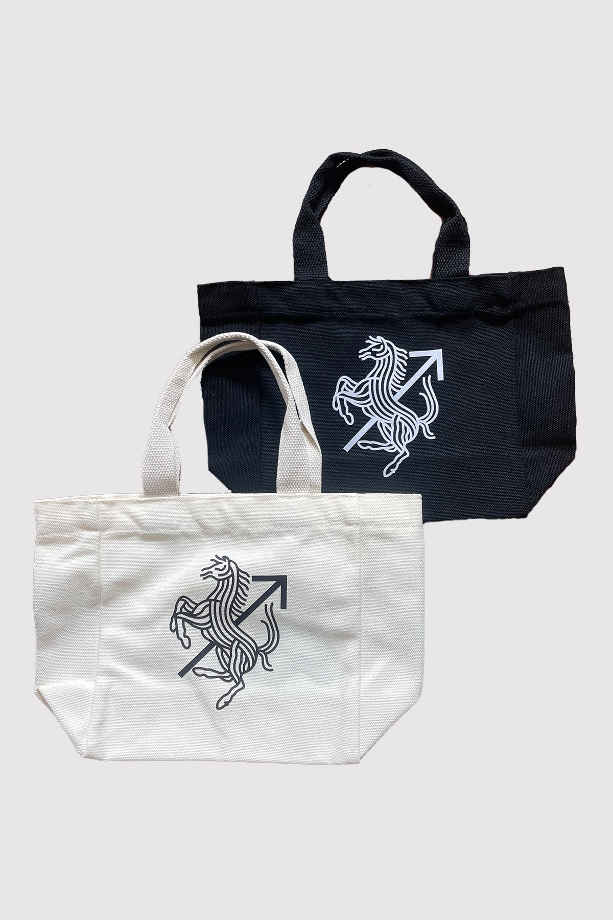 Mini Tote Bag