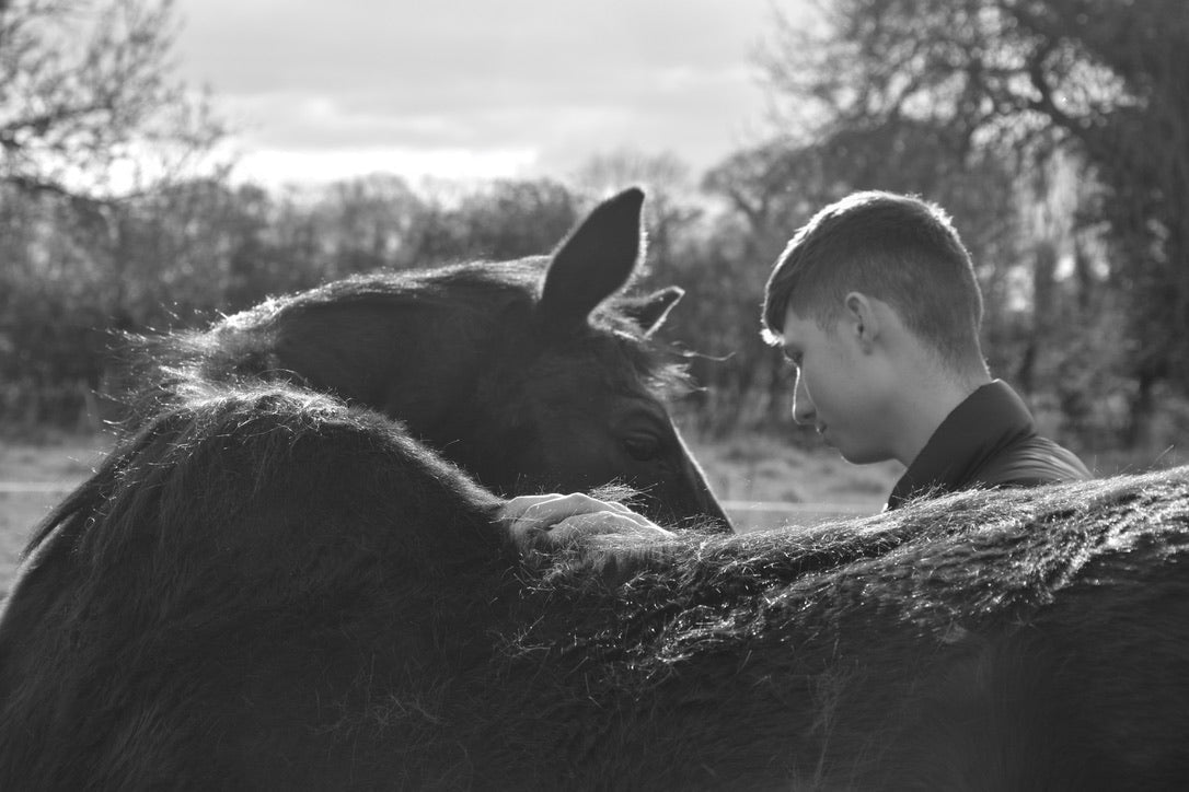 Winter Stable Prep for Horse Riders: Keeping Your Horse's Coat and Wellbeing in Top Condition