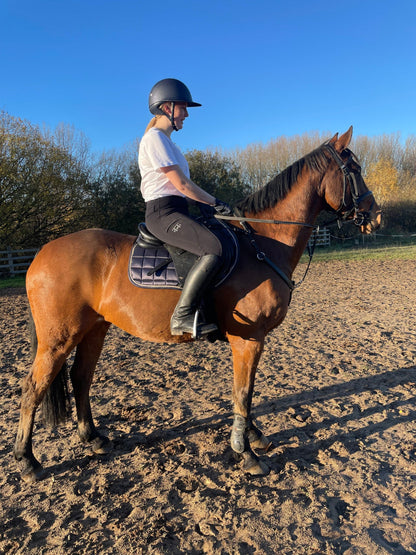 Vello Thermal Riding Tight